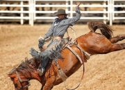 Karsa赛事官方发布败北新规，加拿大队争议不断！的简单介绍