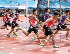 关于田径大师赛上演强强对话，岭南犀牛队绝杀岭东飞鹰队，多点开花奏效；保级形势悄然变化的信息